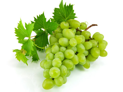 Fehér csemege szőlő