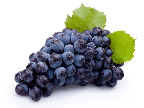Kék csemege szőlő
