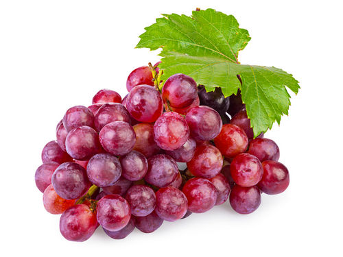 Piros csemege szőlő